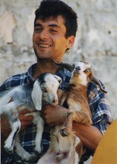 baby goats